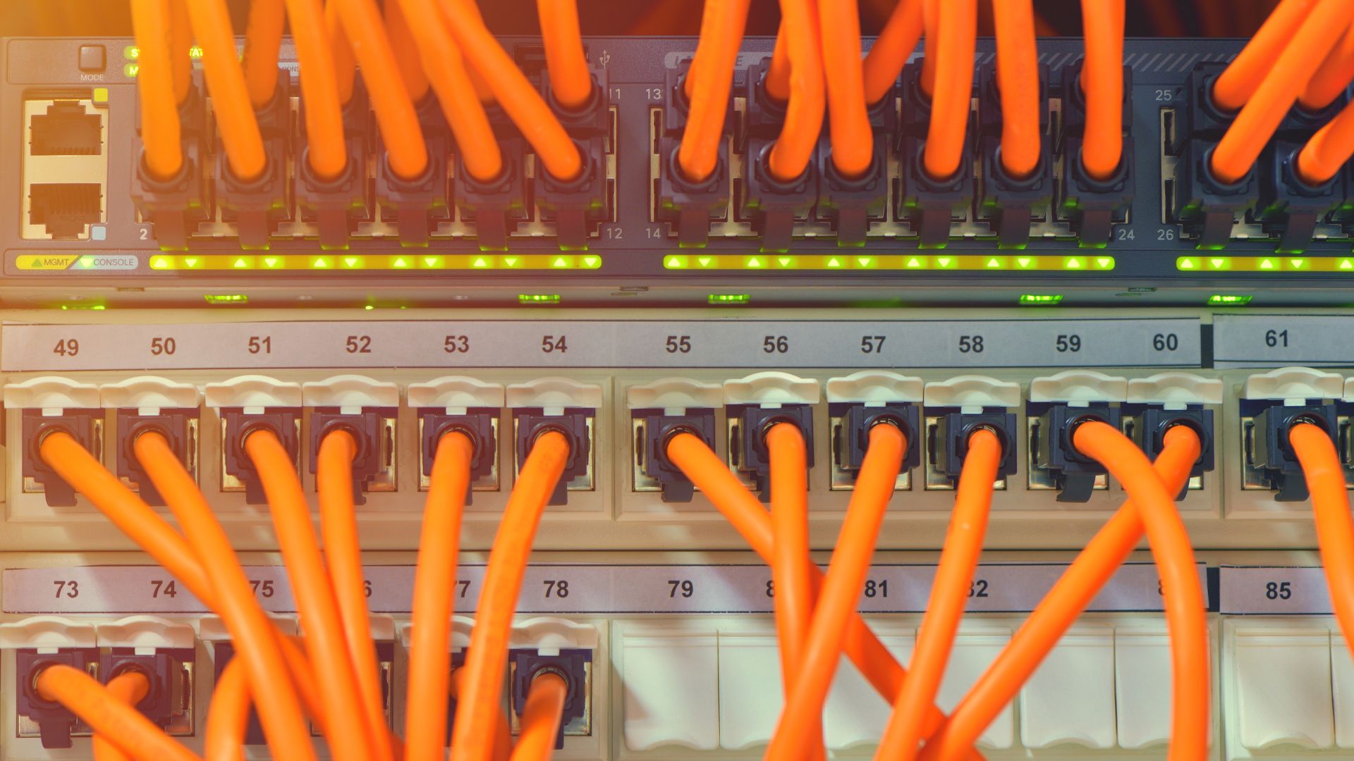 Network Cabling services in Lindsay